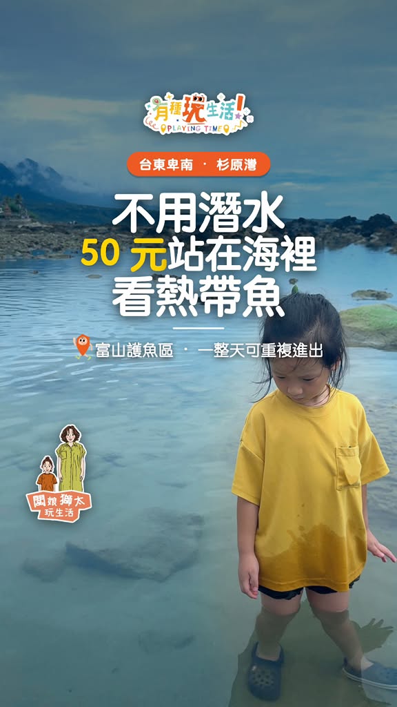 不用潛水，50 元站在海裡看熱帶魚｜台東富山護魚區