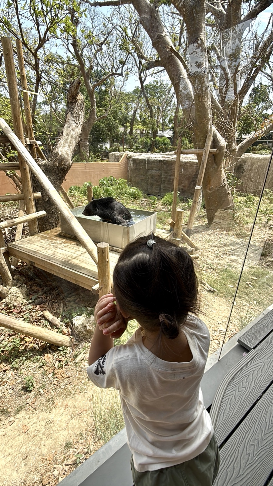 kaohsiung-fullon-lai 圖39