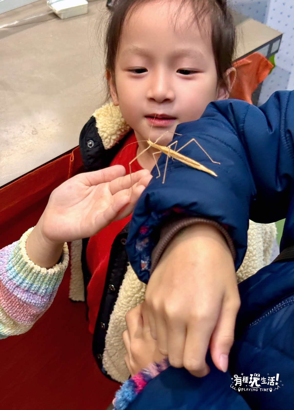 科教館 2 樓的「蟲蟲先生科學教室」|免門票生態缸導覽、昆蟲寶石 DIY,雨天放電好去處