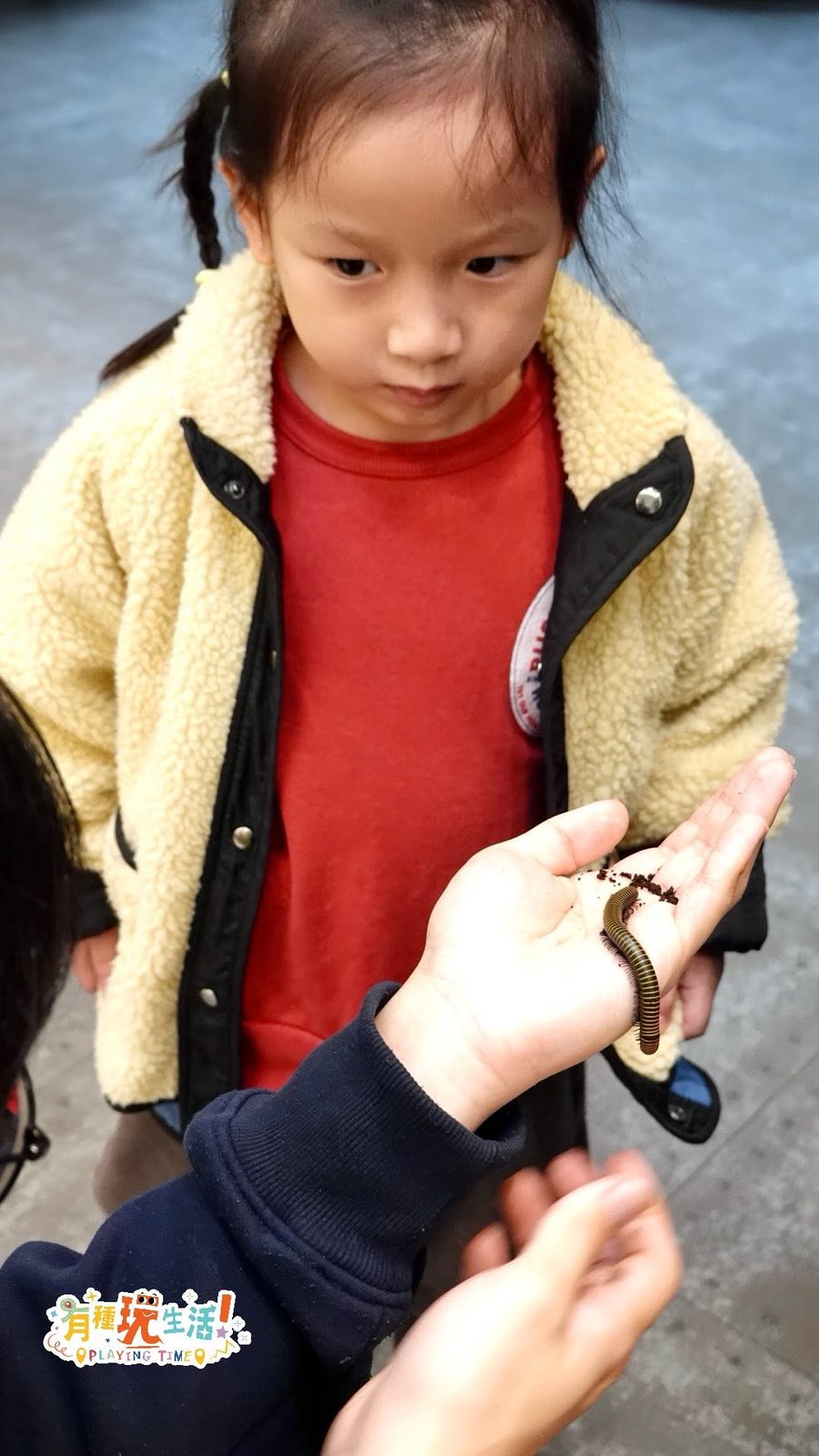 科教館 2 樓的「蟲蟲先生科學教室」