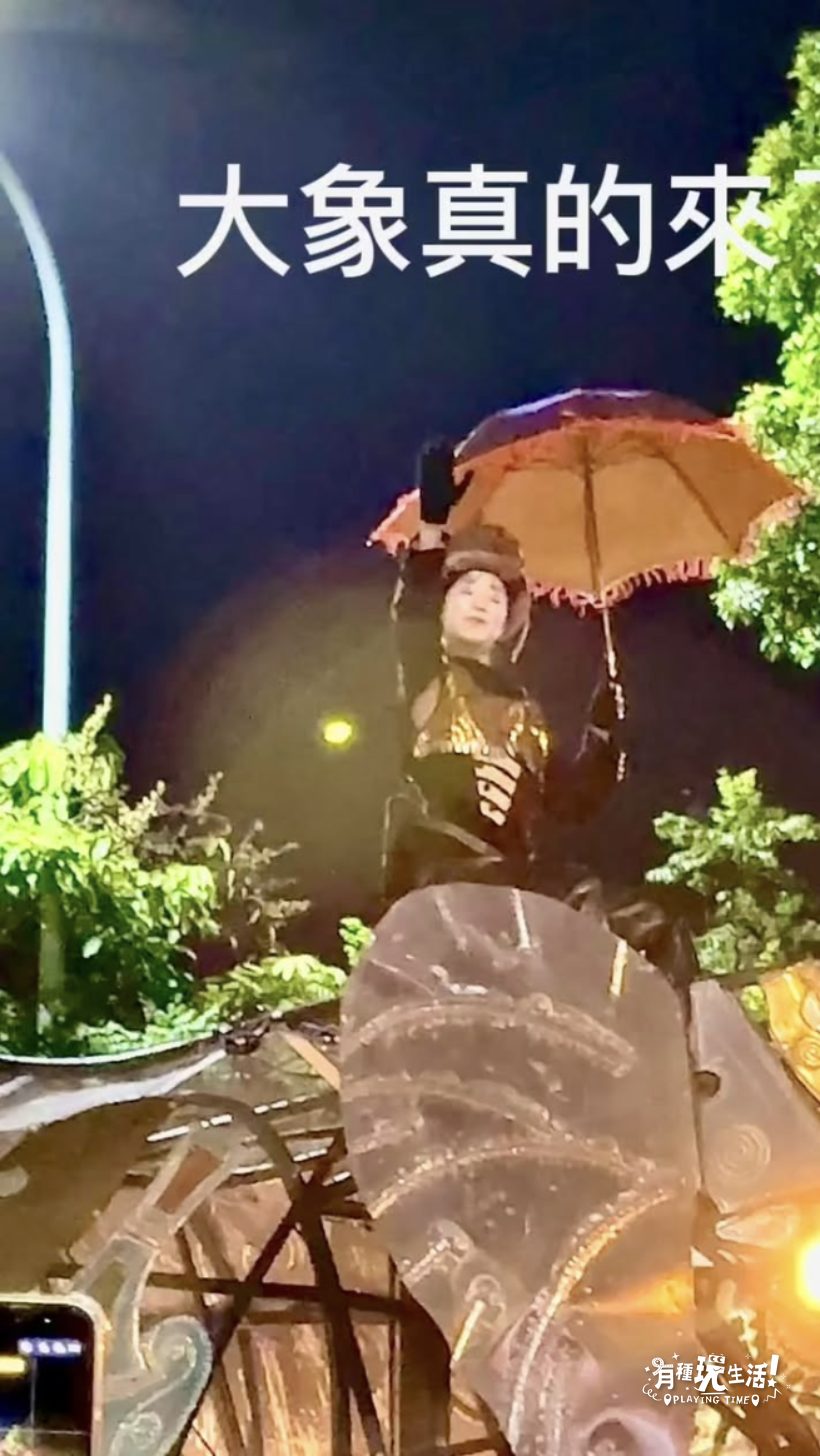 三隻巨象走上士林街頭|大象遊行現場,和帶孩子卡位的五個建議