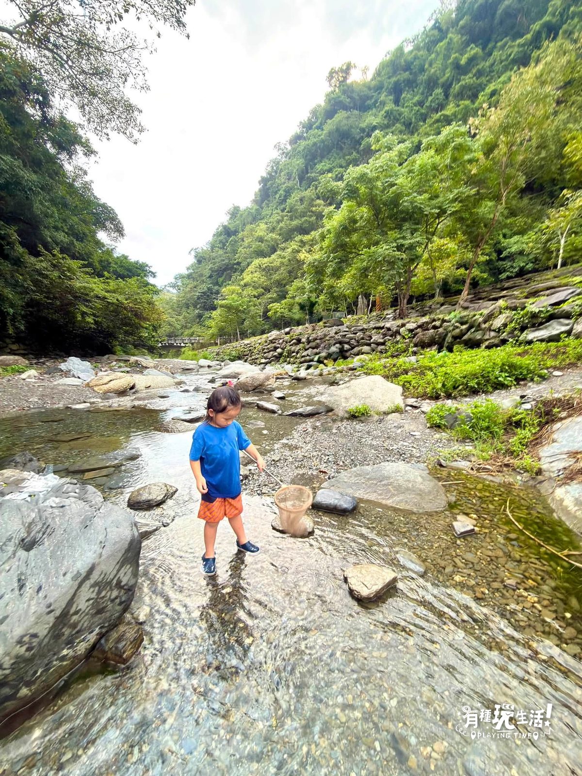 有種玩台東 DAY3｜慢行鹿野，反著車流走，遇見山谷裡的電影人