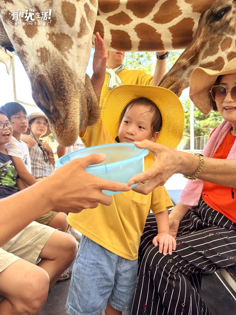 長輩把飼料桶遞給小孩餵長頸鹿