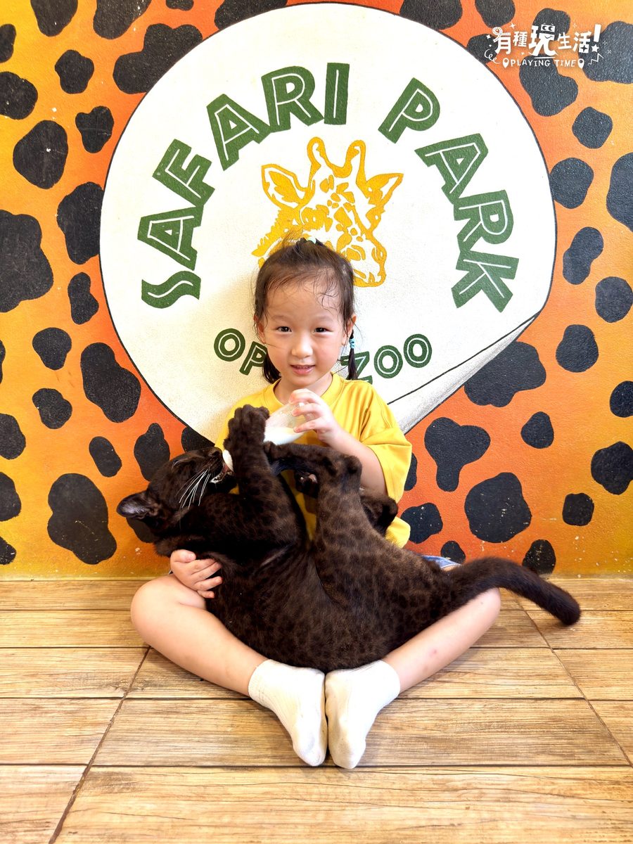 北碧府 Safari Park 兒童抱小黑豹餵奶瓶