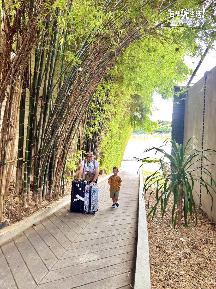 退房拖行李走過竹林步道