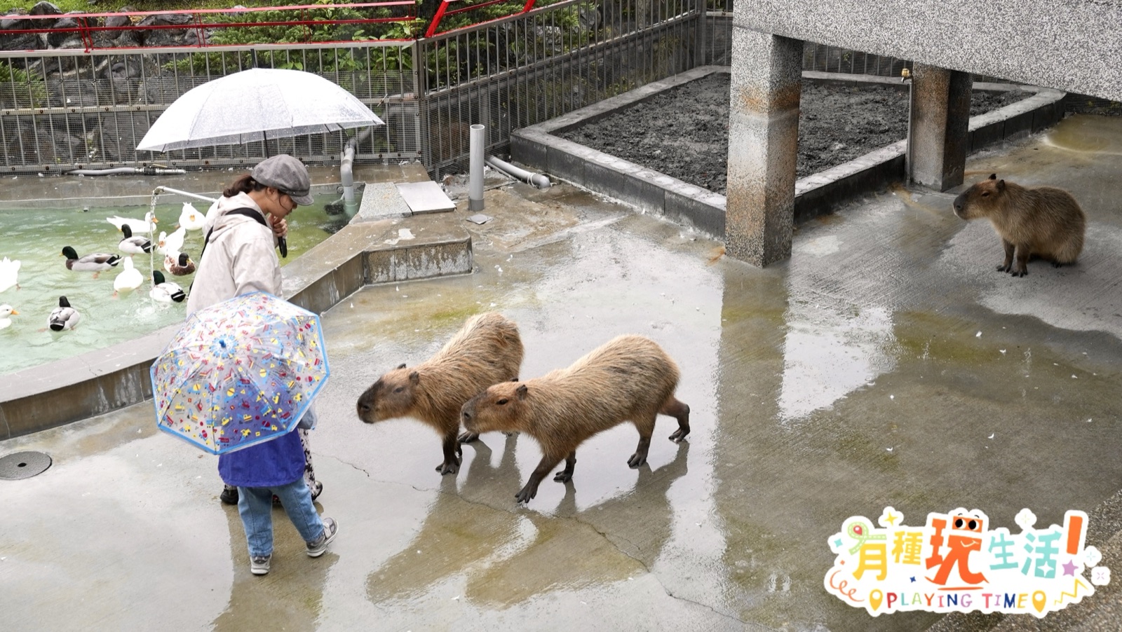 yilan-greendance-hotel 圖10