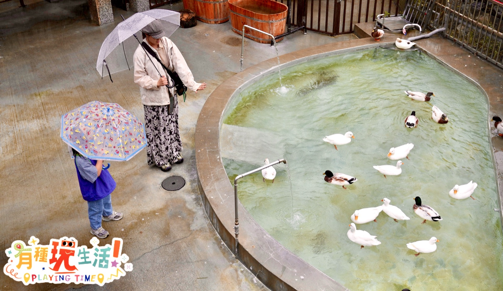 yilan-greendance-hotel 圖13